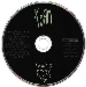 KoЯn: Falling Away From Me (Single-CD) - Bild 6
