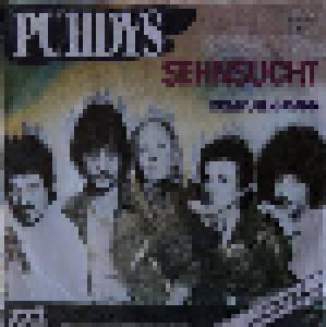 Puhdys: Sehnsucht - Cover