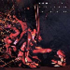 Amon Tobin: Verbal Remixes & Collaborations (2-LP) - Bild 1