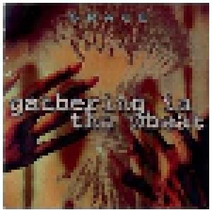 Grace: Gathering In The Wheat - Cover