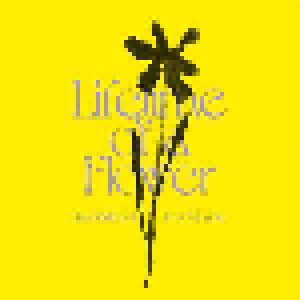 Eiko Ishibashi, Jim O'Rourke: Liftime Of A Flower (LP) - Bild 1