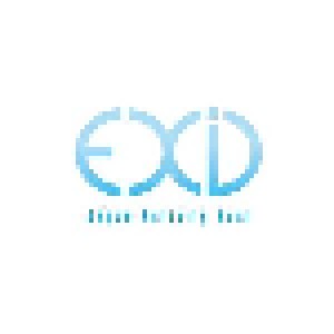 EXID: Japan Activity Best (2-CD) - Bild 1