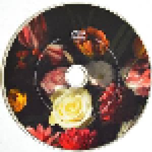 Grande Roses: Built On Schemes (Promo-CD) - Bild 3