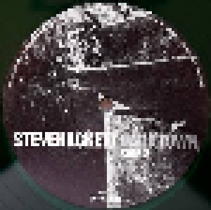 Steve Hackett: Darktown (2-LP) - Bild 9