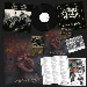 Morbid Saint: Destruction System (LP) - Bild 2