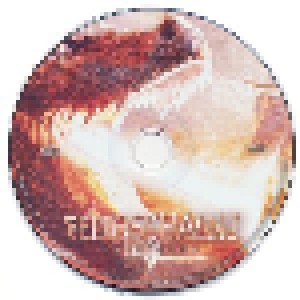 Feuerschwanz: Fegefeuer (2-CD) - Bild 3