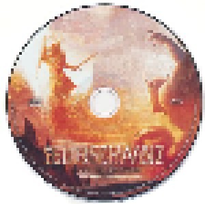 Feuerschwanz: Fegefeuer (2-CD) - Bild 4