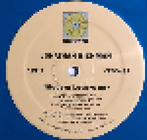Jonathan Richman & The Modern Lovers: Modern Lovers 88 (LP) - Bild 3