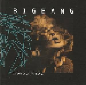 BigBang: Too Much Yang (Promo-CD) - Bild 1