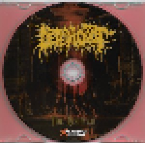 Deteriorot: The Rebirth (CD) - Bild 2