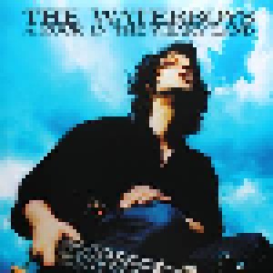 The Waterboys: A Rock In The Weary Land (2-LP) - Bild 1