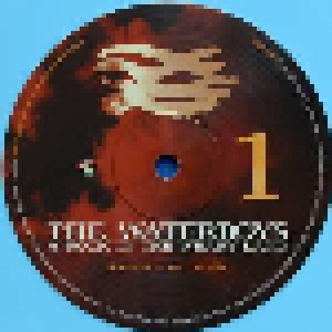 The Waterboys: A Rock In The Weary Land (2-LP) - Bild 8