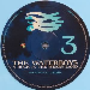 The Waterboys: A Rock In The Weary Land (2-LP) - Bild 9