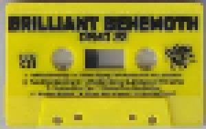 Brilliant Behemoth: Demo 22 (Tape-EP) - Bild 2