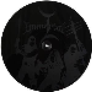 Immortal: Sons Of Northern Darkness (2-LP) - Bild 2