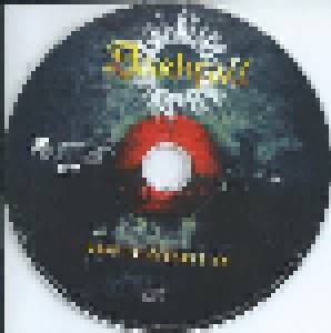 Darkfall: Road To Redemption (CD) - Bild 3