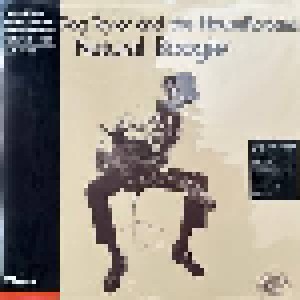 Hound Dog Taylor And The HouseRockers: Natural Boogie (LP) - Bild 1