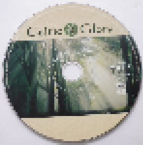  Unbekannt: Celtic Glory (CD) - Bild 3