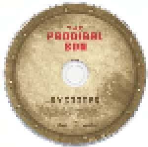 Ry Cooder: Prodigal Son (CD) - Bild 6