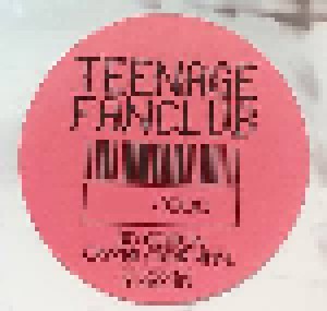 Teenage Fanclub: Nothing Lasts Forever (LP) - Bild 8