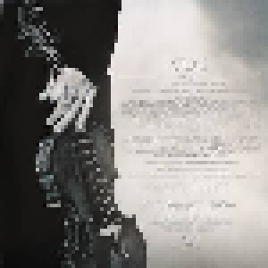 David Garrett: Iconic (2-LP) - Bild 4