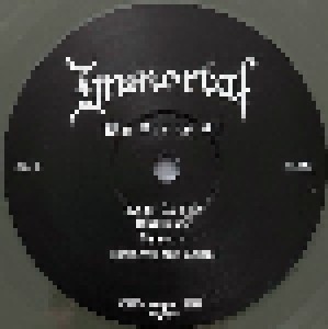 Immortal: War Against All (LP) - Bild 9