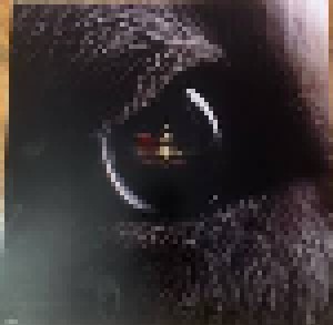 Roger Waters: The Dark Side Of The Moon Redux (2-LP + CD) - Bild 4