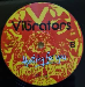 The Vibrators: Hunting For You (LP) - Bild 6