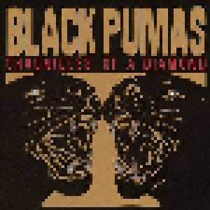 Black Pumas: Chronicles Of A Diamond (LP) - Bild 1