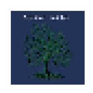 Nick Drake: Fruit Tree (3-LP + DVD) - Bild 1