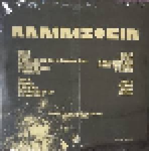 Rammstein: Gold Sonne (2-LP) - Bild 2