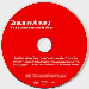 2raumwohnung: Kommt Zusammen Remix Album (Promo-CD) - Bild 3