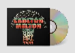 Carlton Melton: Turn To Earth (2-LP + CD) - Bild 3