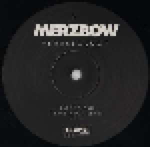 Merzbow: Venereology (2-LP) - Bild 4