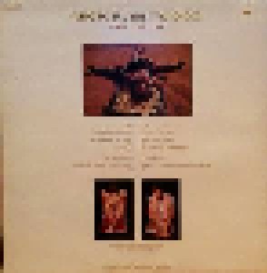 Mick Fleetwood: The Visitor (LP) - Bild 2