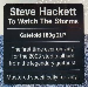 Steve Hackett: To Watch The Storms (2-LP) - Bild 3