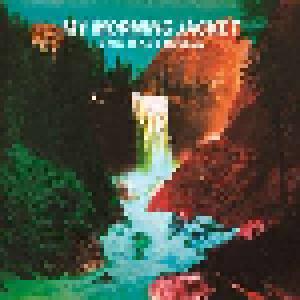 My Morning Jacket: Waterfall, The - Cover