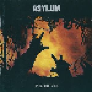 Asylum: Into The Web (Promo-CD) - Bild 1