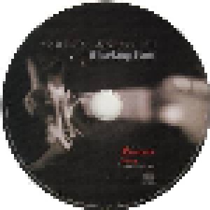 Sonny Landreth: Blacktop Run (CD) - Bild 3