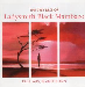 Cover - Ladysmith Black Mambazo: Rain, Rain, Beautiful Rain - The Very Best Of