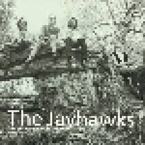 The Jayhawks: Tomorrow The Green Grass (2-CD) - Bild 1