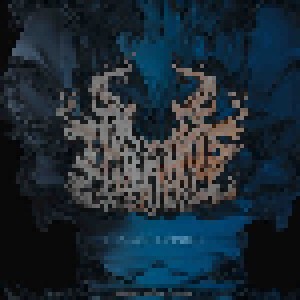 Cover - Domboshawa: Split LP