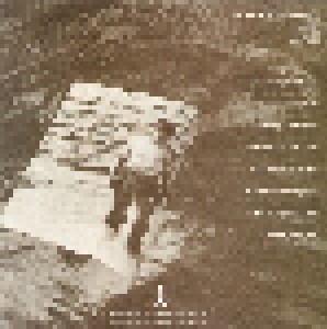 Robert Palmer: Clues (CD) - Bild 2