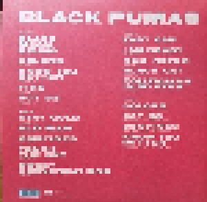 Black Pumas: Black Pumas (2-LP) - Bild 2