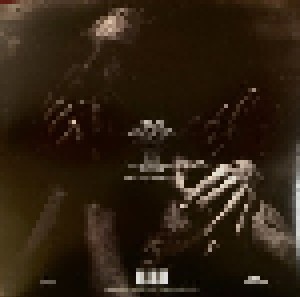Slipknot: We Are Not Your Kind (2-LP) - Bild 2