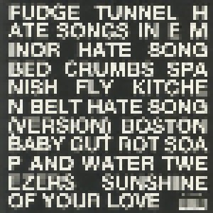 Fudge Tunnel: Hate Songs In E Minor (LP) - Bild 2