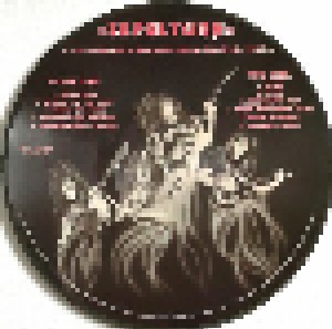 Sepultura: Live At Zeleste In Barcelona, Spain, May 31st, 1991 (PIC-LP) - Bild 2