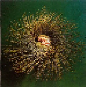 Peter Gabriel: Ovo (CD) - Bild 1