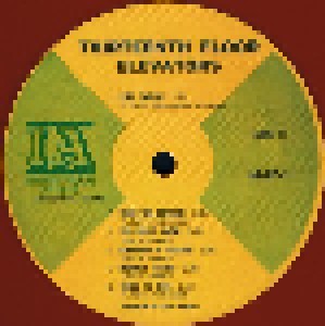 The 13th Floor Elevators: The Psychedelic Sounds Of The 13th Floor Elevators (2-LP) - Bild 6