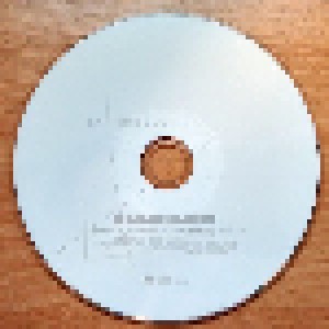 Rammstein: Das Modell (Single-CD) - Bild 5